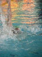 Simona Švandelíková