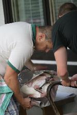 chystání grilování