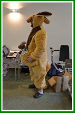 klokan je připraven