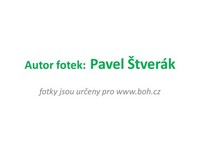 autor fotek