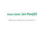 autor fotek