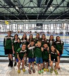 společná před závody